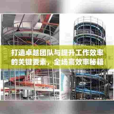 打造卓越团队与提升工作效率的关键要素,全场高效率秘籍揭秘!
