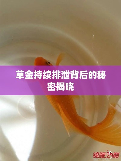 粗枝大叶 第4页