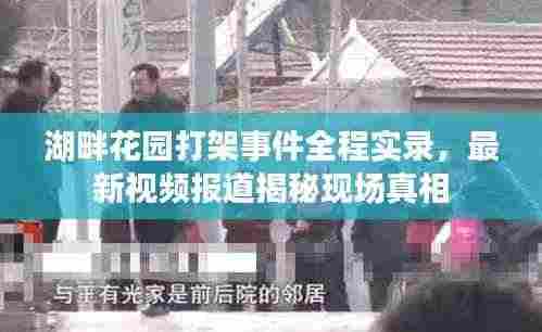 湖畔花园打架事件全程实录，最新视频报道揭秘现场真相
