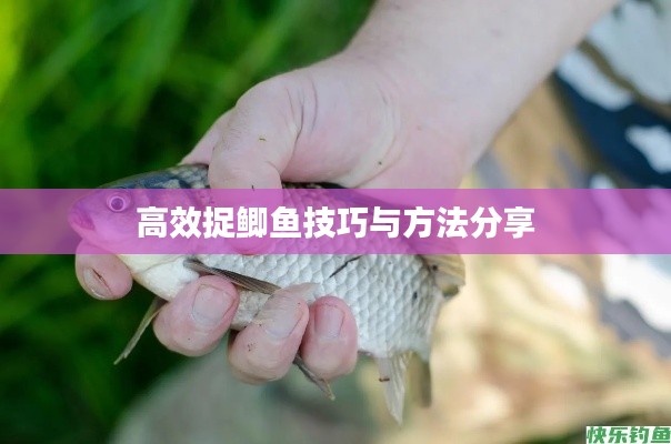 高效捉鲫鱼技巧与方法分享