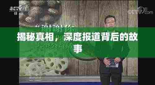 揭秘真相，深度报道背后的故事
