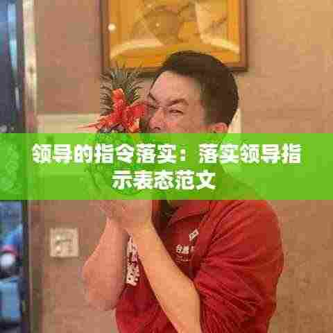 领导的指令落实:落实领导指示表态范文