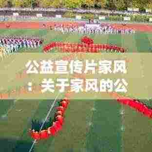 公益宣传片家风:关于家风的公益广告标语