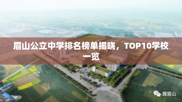 眉山公立中学排名榜单揭晓，TOP10学校一览