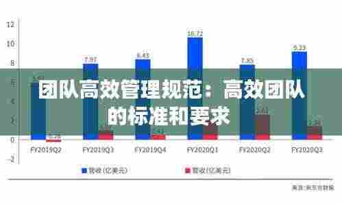 团队高效管理规范:高效团队的标准和要求