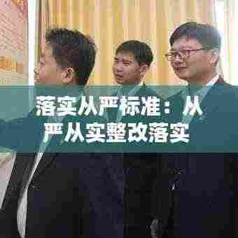 落实从严标准:从严从实整改落实