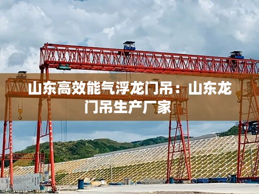 山东高效能气浮龙门吊：山东龙门吊生产厂家 