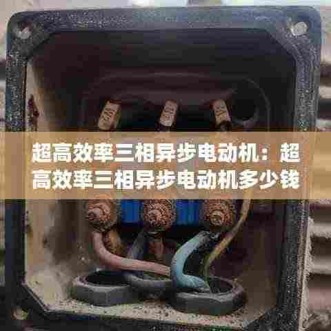 超高效率三相异步电动机:超高效率三相异步电动机多少钱