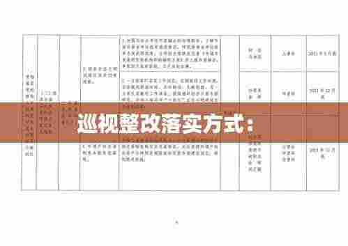 巡视整改落实方式: