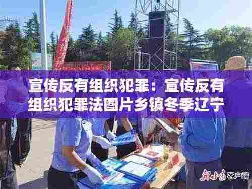 宣传反有组织犯罪:宣传反有组织犯罪法图片乡镇冬季辽宁省朝阳市