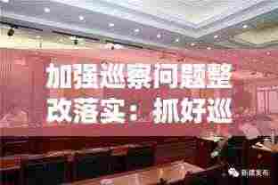 加强巡察问题整改落实：抓好巡察问题整改 