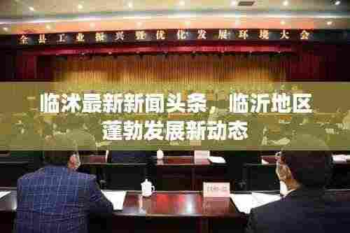 临沭最新新闻头条，临沂地区蓬勃发展新动态