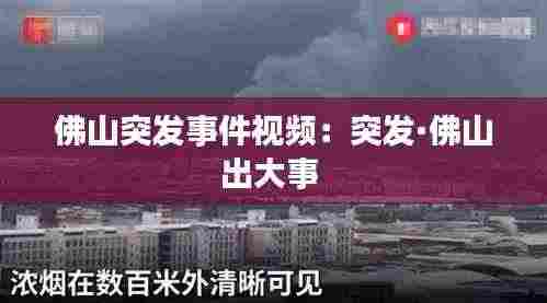佛山突发事件视频：突发·佛山出大事 