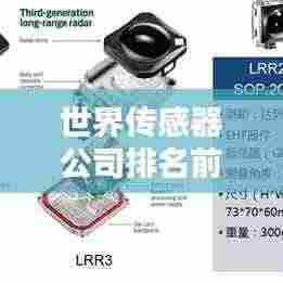 真独简贵 第3页