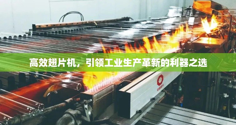 眉飞色舞 第3页