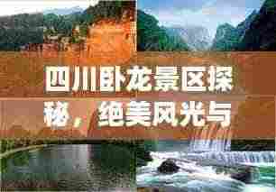 四川卧龙景区探秘,绝美风光与深度旅游攻略