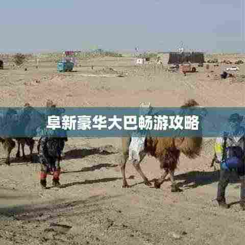 阜新豪华大巴畅游攻略