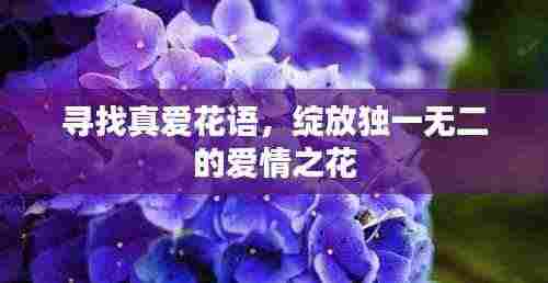 寻找真爱花语,绽放独一无二的爱情之花