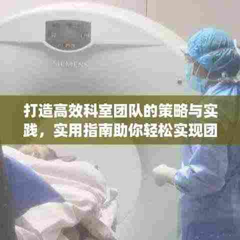 打造高效科室团队的策略与实践,实用指南助你轻松实现团队协同力提升!