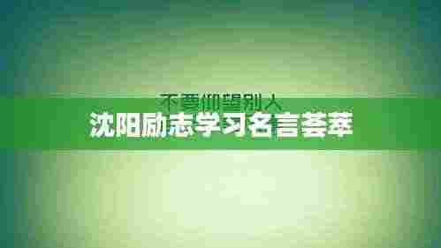 沈阳励志学习名言荟萃