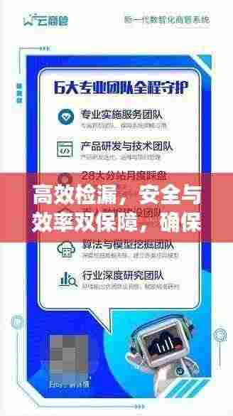 高效检漏,安全与效率双保障,确保无漏无忧