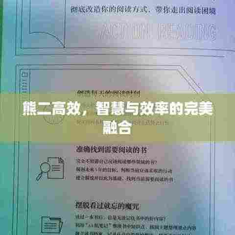 熊二高效,智慧与效率的完美融合