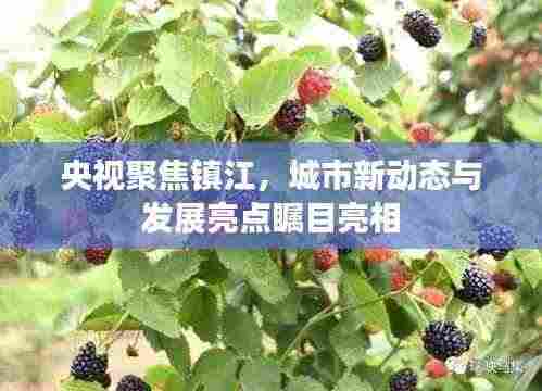 央视聚焦镇江,城市新动态与发展亮点瞩目亮相