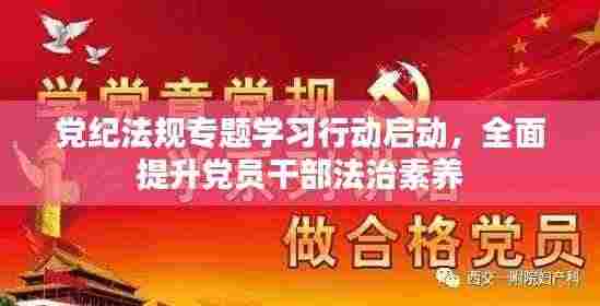 党纪法规专题学习行动启动,全面提升党员干部法治素养