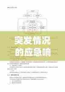 突发情况的应急响应与管理机制,高效应对危机,保障安全稳定