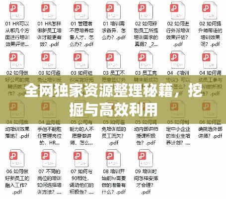 全网独家资源整理秘籍，挖掘与高效利用