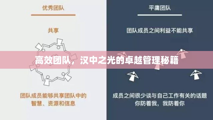 高效团队,汉中之光的卓越管理秘籍