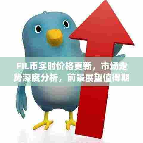 FIL币实时价格更新,市场走势深度分析,前景展望值得期待