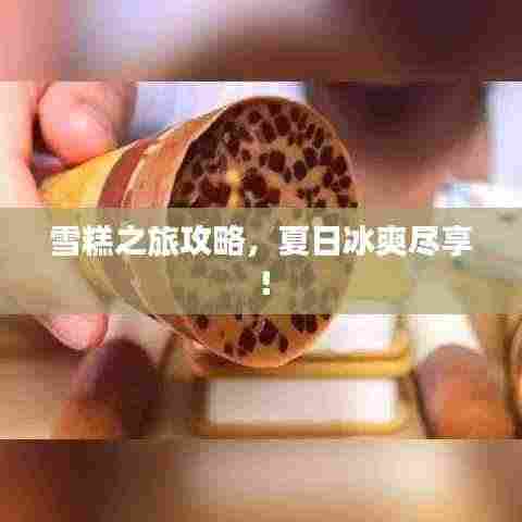 雪糕之旅攻略,夏日冰爽尽享!