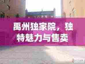 禹州独家院,独特魅力与售卖全貌揭秘