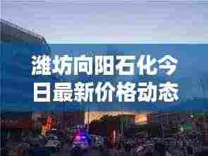 潍坊向阳石化今日最新价格动态更新