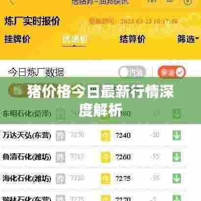 猪价格今日最新行情深度解析
