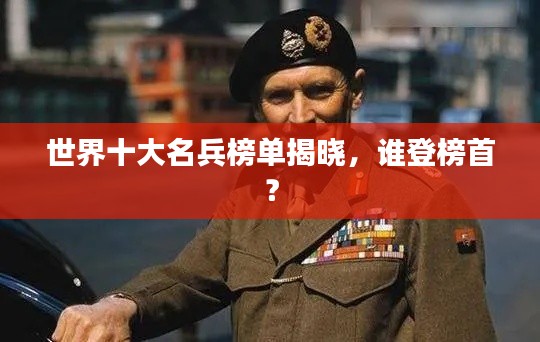 世界十大名兵榜单揭晓，谁登榜首？