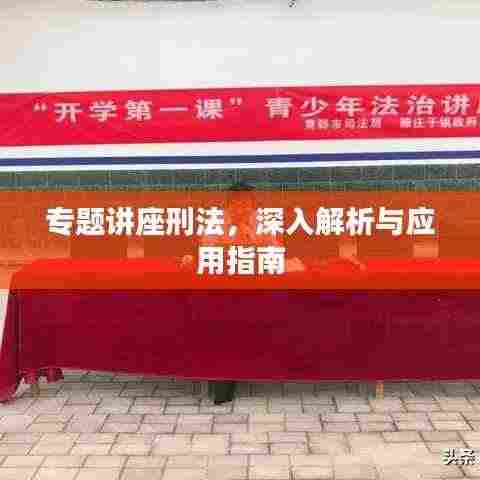 专题讲座刑法,深入解析与应用指南
