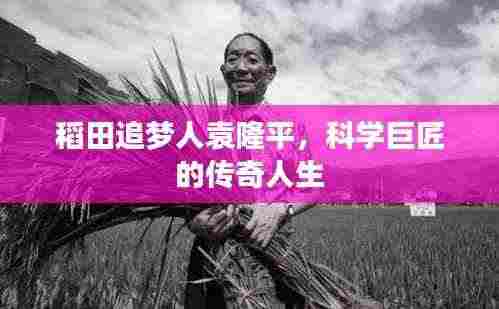 稻田追梦人袁隆平，科学巨匠的传奇人生
