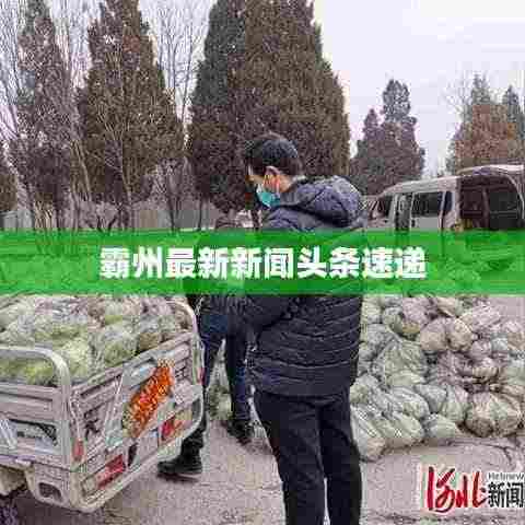 霸州最新新闻头条速递