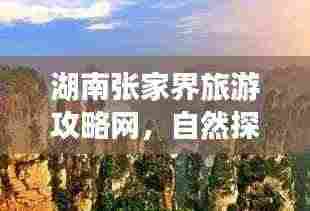 湖南张家界旅游攻略网,自然探索之旅,神秘体验之旅