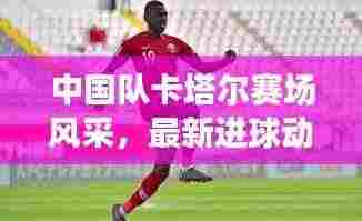 中国队卡塔尔赛场风采,最新进球动态与未来展望
