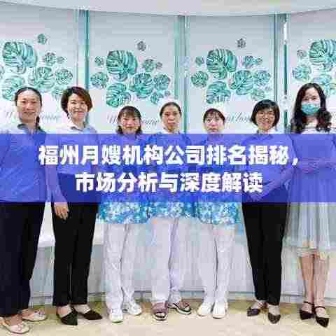 福州月嫂机构公司排名揭秘,市场分析与深度解读