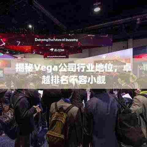 揭秘Vega公司行业地位,卓越排名不容小觑