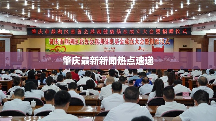 肇庆最新新闻热点速递