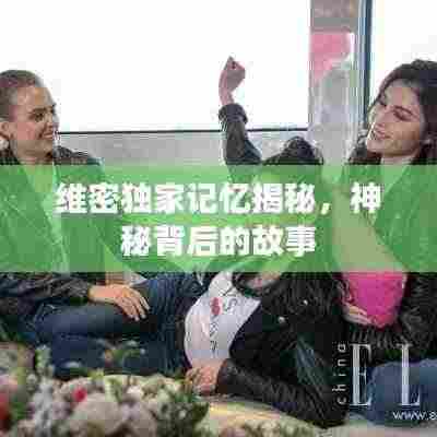 维密独家记忆揭秘，神秘背后的故事