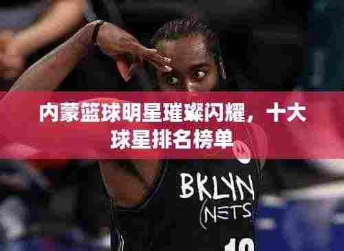 内蒙篮球明星璀璨闪耀,十大球星排名榜单
