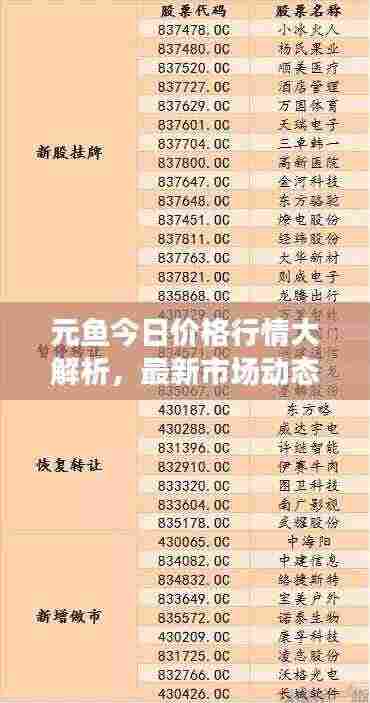 元鱼今日价格行情大解析,最新市场动态,一览无余!