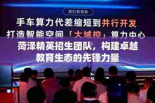 菏泽精英招生团队，构建卓越教育生态的先锋力量
