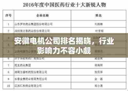 安徽电机公司排名揭晓，行业影响力不容小觑